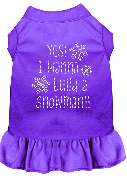 Yes! I want to Build a Snowman Rhinestone Dog Dress Purple Med